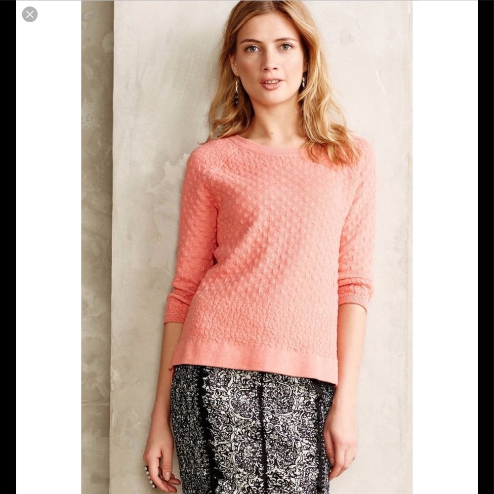 Anthropologie Field Flower Sweater